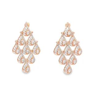 Earrings 170