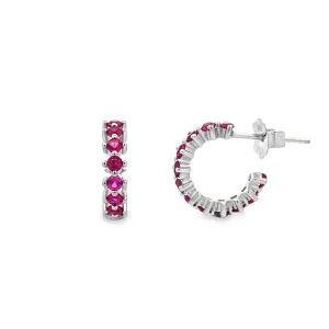Earrings 190