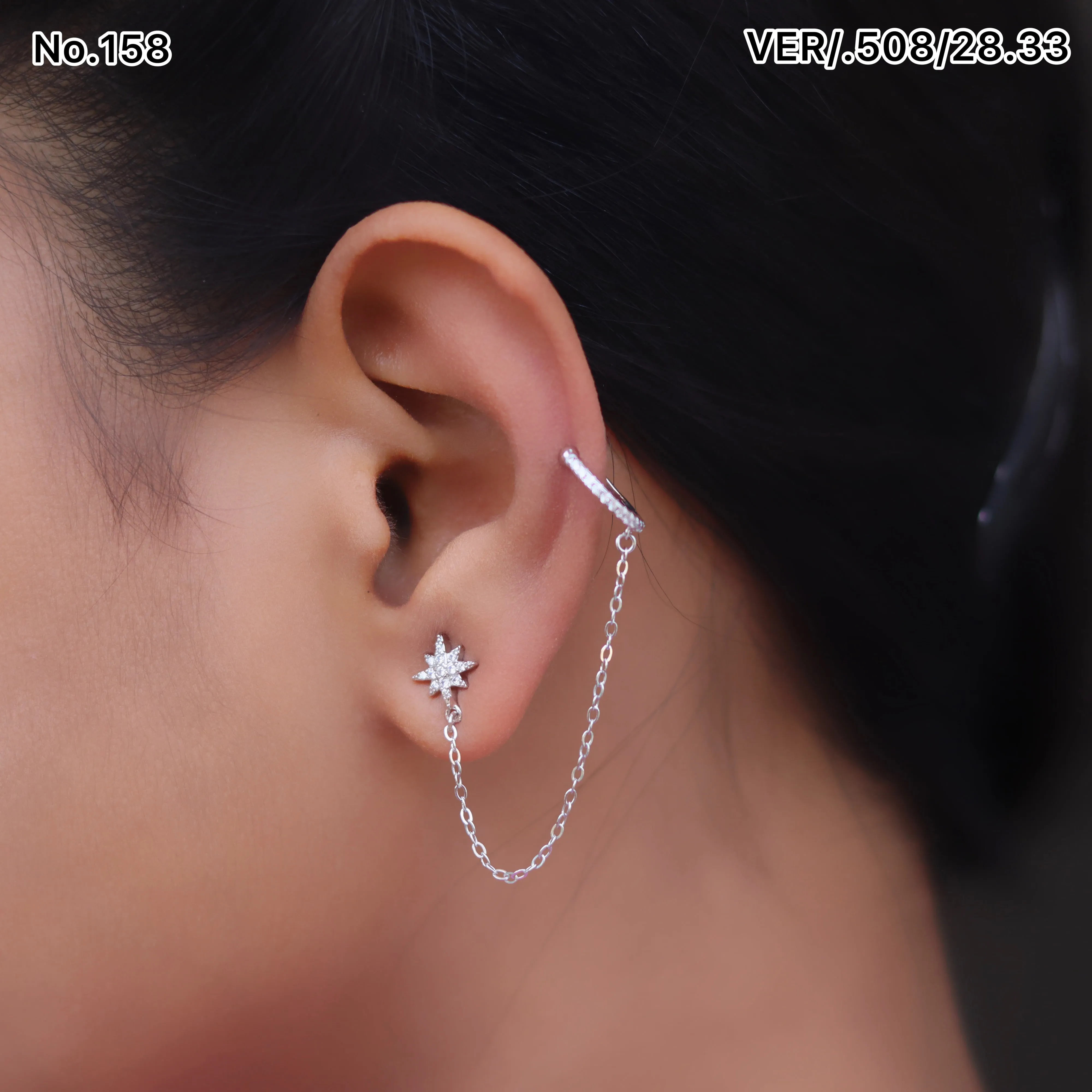 Earrings 66