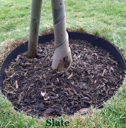 EverEdge Classic Tree Ring Slate Powder Coated