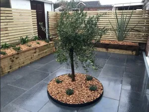 EverEdge Classic Tree Ring Slate Powder Coated