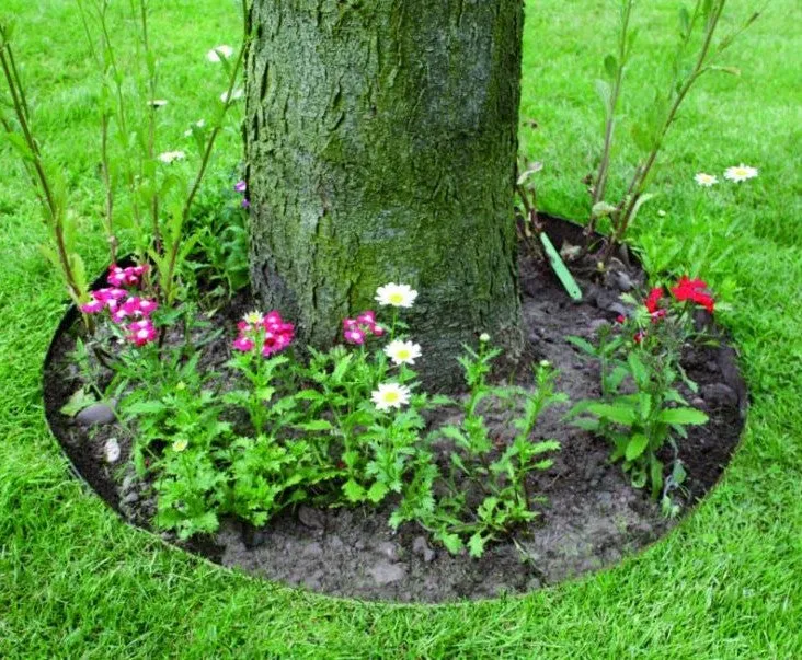 EverEdge Classic Tree Ring Slate Powder Coated