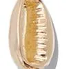 Goldtone Cowrie-Shell Linear Drop Earring