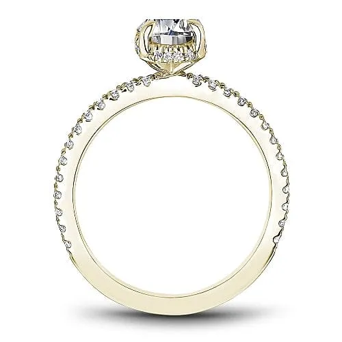 Noam Carver Halo Engagement Ring