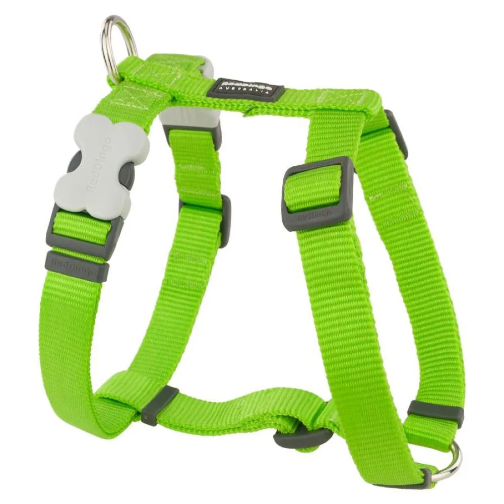 Red Dingo Classic Dog Harness 12mm