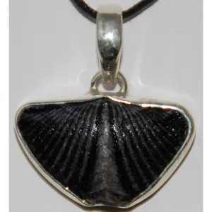 Spirifer Brachiopod Sterling Silver Pendant