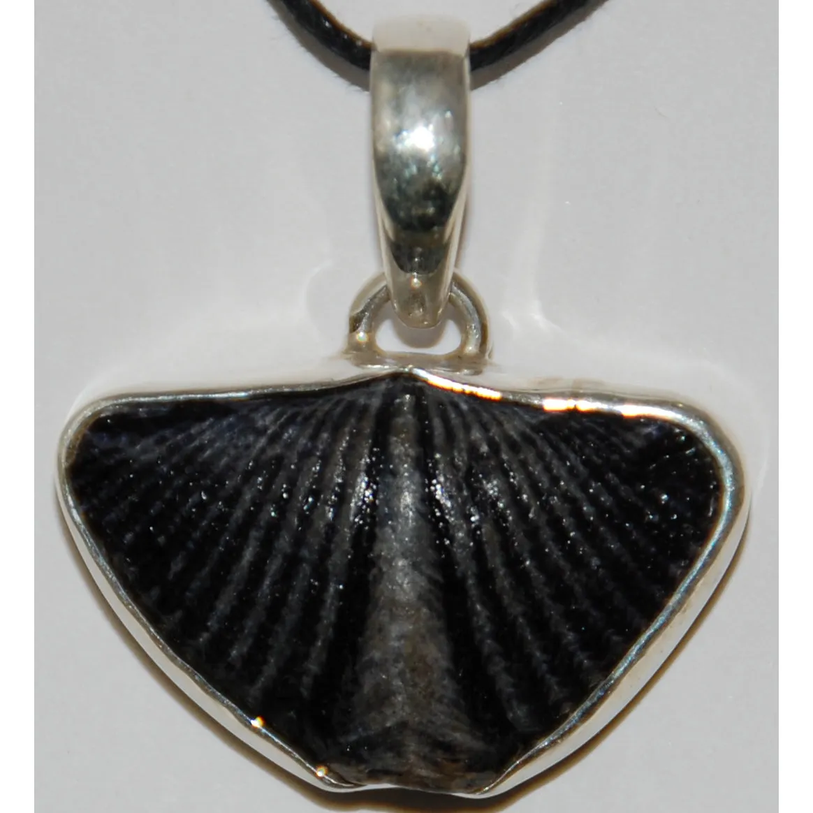 Spirifer Brachiopod Sterling Silver Pendant